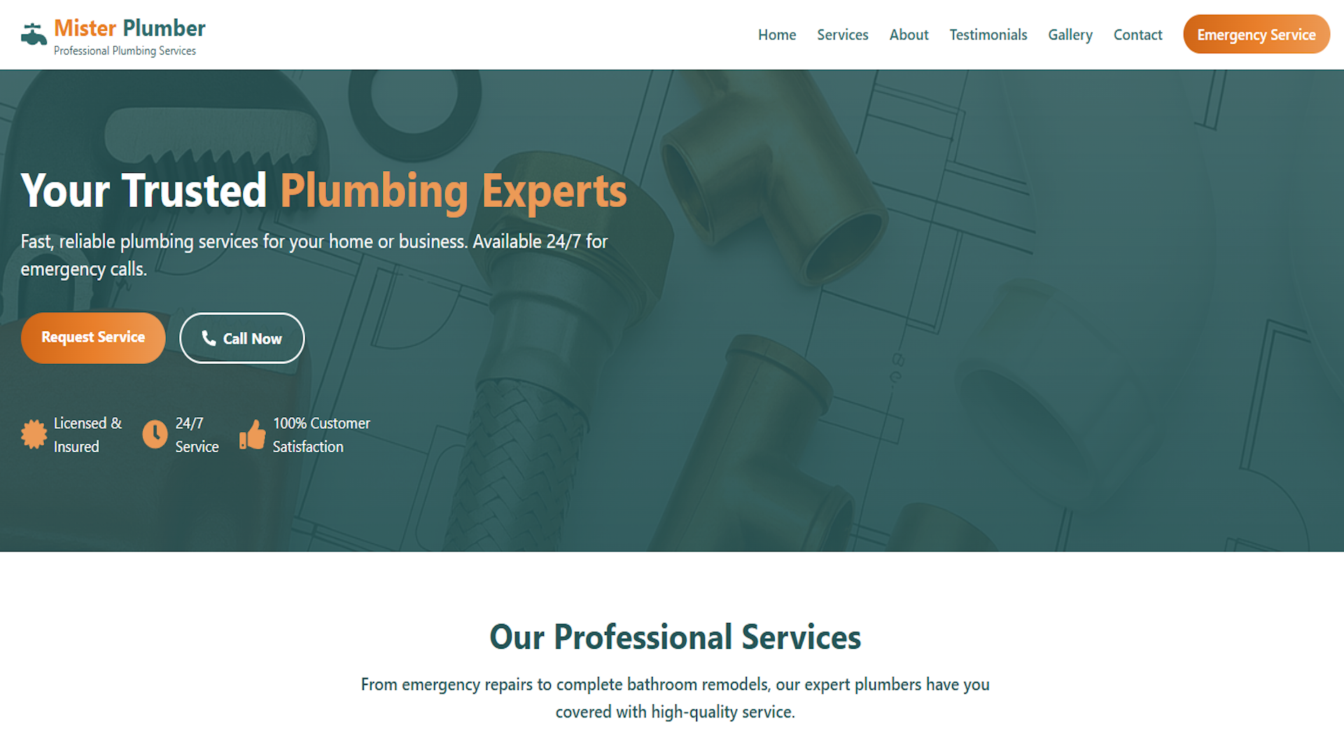 Plumbing Service Website